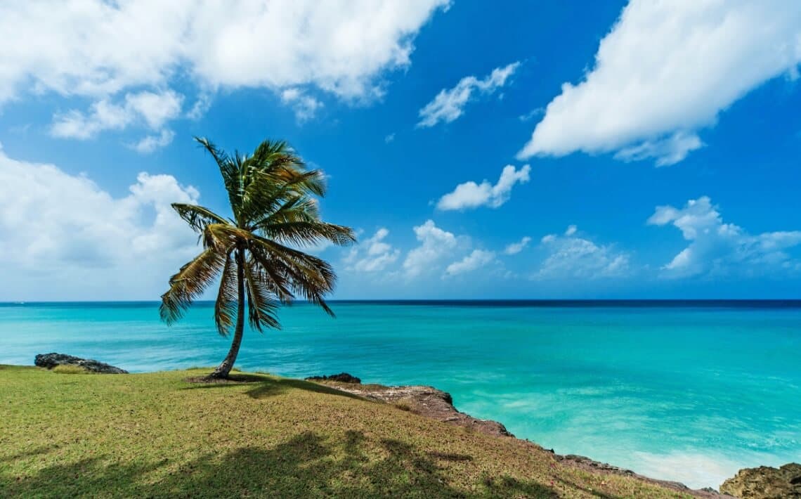Barbados Airport to Speightstown