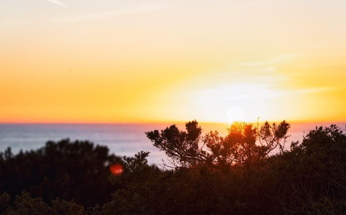 How to Get from Faro Airport to Carvoeiro?