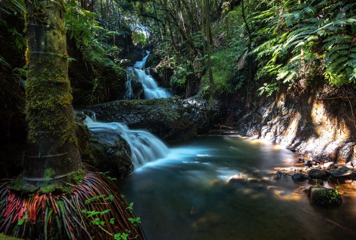 How to get from Hilo Airport to Hilo City Centre?