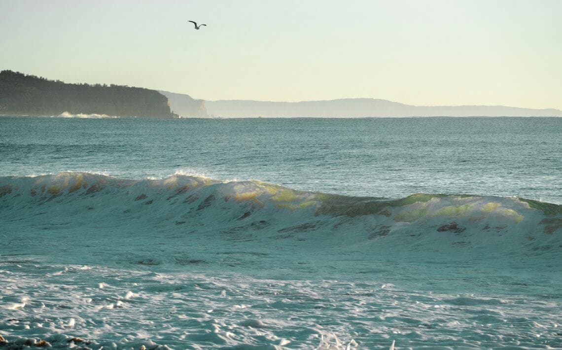 Sydney Airport to Narrabeen