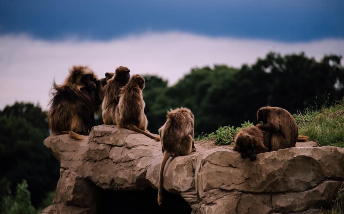 Leeds Bradford Airport to Doncaster