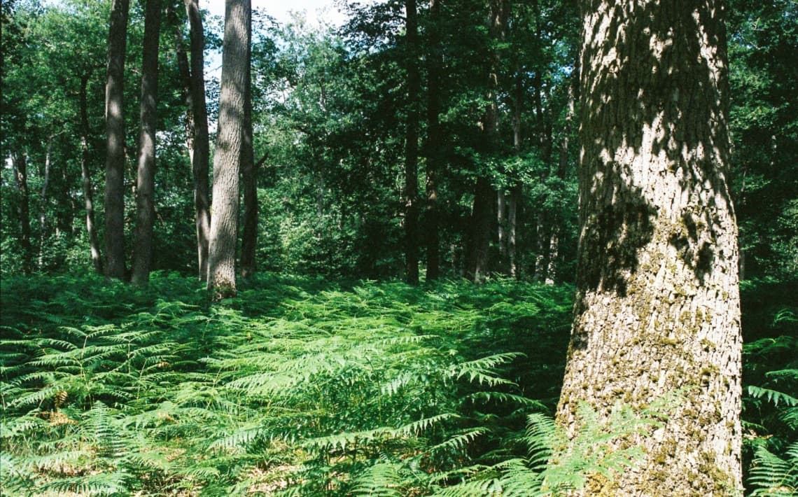 London Gatwick Airport to Sunningdale Golf Club