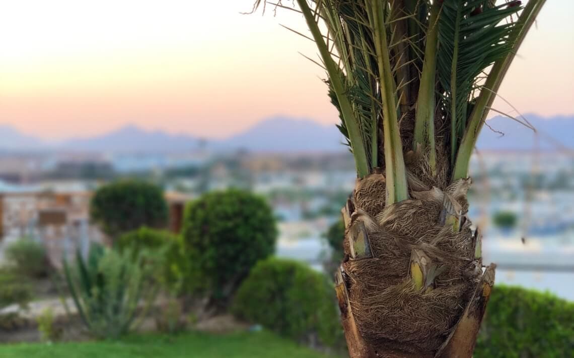Sharm El Sheikh Airport to Naama Bay